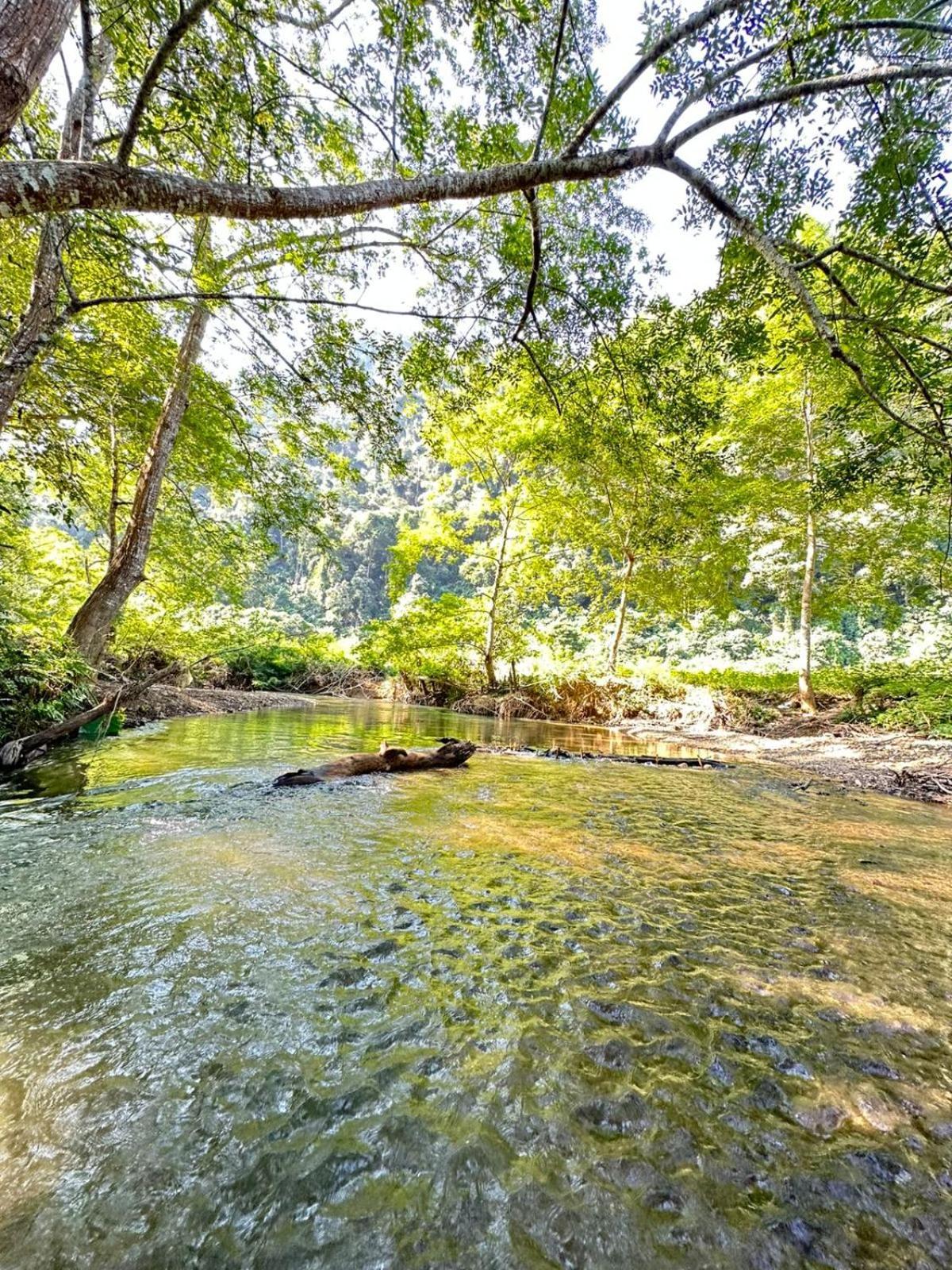 Mingkhuan Eco Homestay Nongkhiaw Dış mekan fotoğraf
