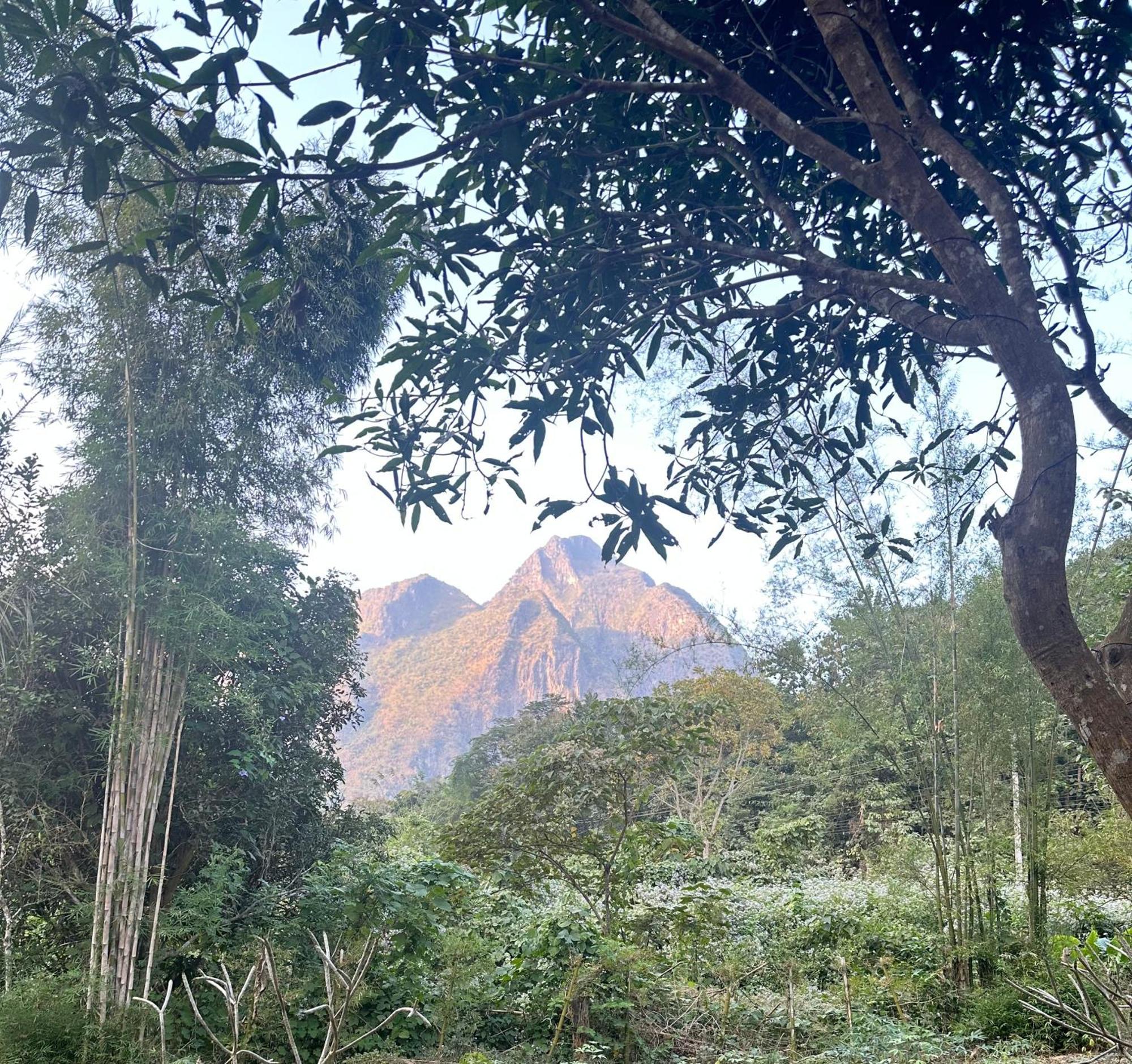 Mingkhuan Eco Homestay Nongkhiaw Dış mekan fotoğraf